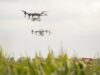 Del asombro a la adopción: Los drones ganan protagonismo en el agro