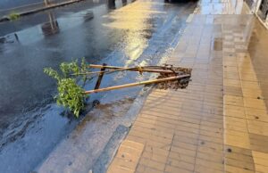 Daños y robos en los primeros días de marzo