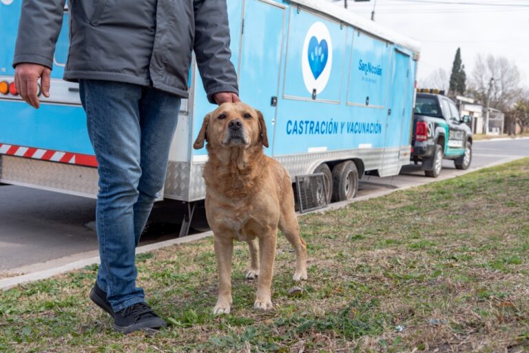 Castraciones y vacunación: el tráiler municipal llega a Villa Canto y Villa Campi
