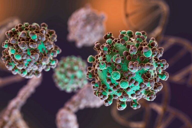 Aumentan los casos de hantavirus en Argentina: ya son 47 en 2026