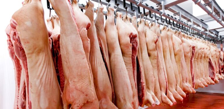 Córdoba: Incautan más de 100 kilos de carne porcina en un operativo clandestino