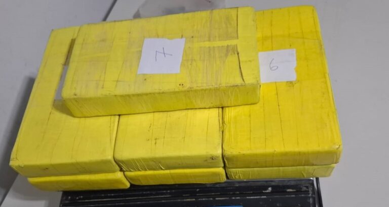 Detenidos con más de siete kilos de cocaína en la autopista Buenos Aires-La Plata