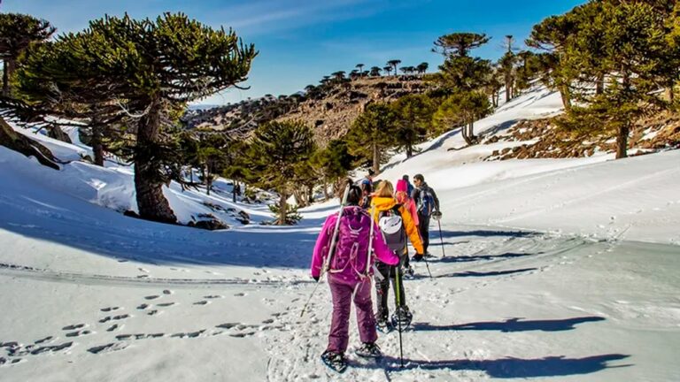 Neuquén lanza la Temporada de Invierno 2026 con la mayor superficie esquiable del país