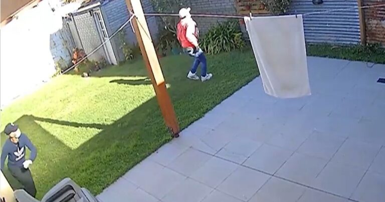 Asalto violento a una jueza en su hogar en La Plata