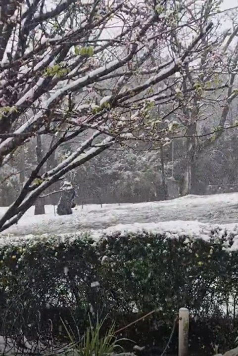 Córdoba se viste de blanco: nevadas en Altas Cumbres y localidades del sur