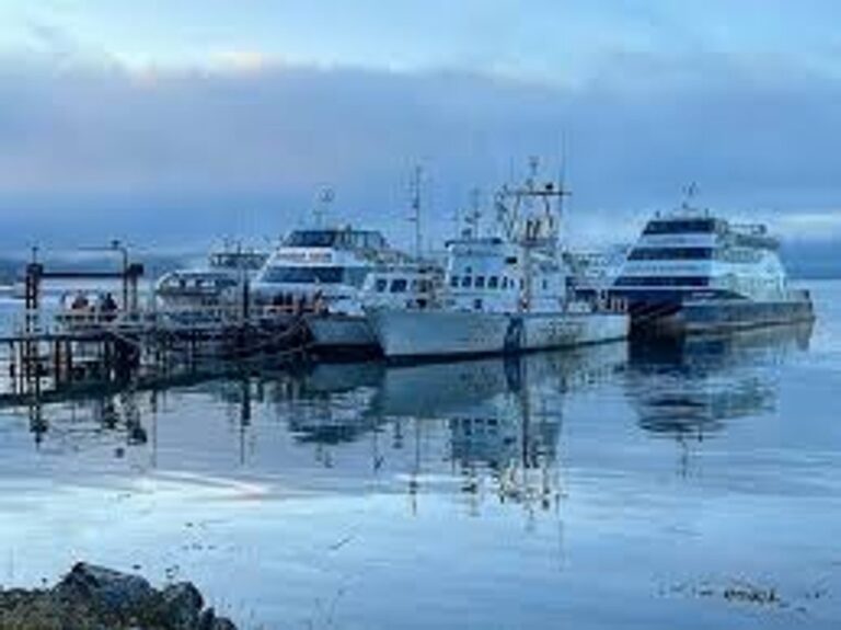 Crisis educativa y portuaria impactan al turismo en Tierra del Fuego