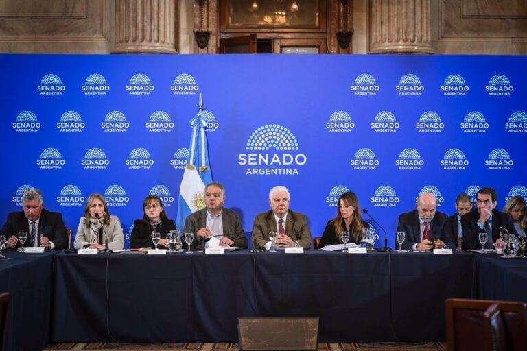 El Senado aprueba proyecto que restringe subsidios de gas en Zonas Frías