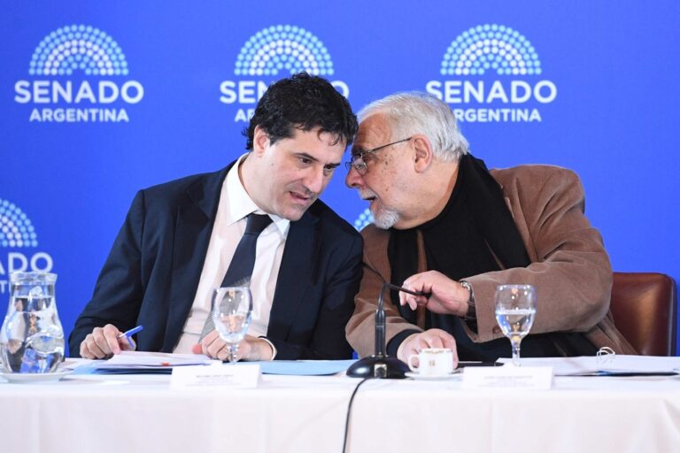 El Senado avanza en la designación de Vauthier como director del Banco Central en medio de tensiones