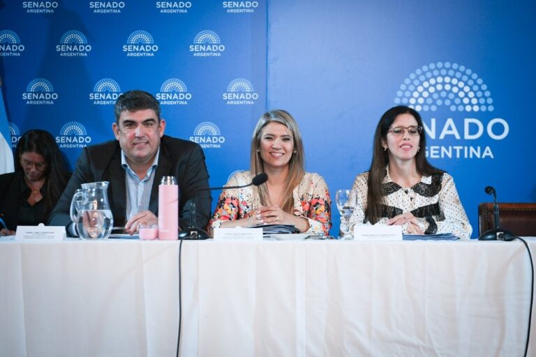 El Senado debate la reforma de Salud Mental y las internaciones involuntarias