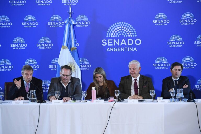 El Senado inicia el debate clave sobre el BCRA y la Inocencia Fiscal II