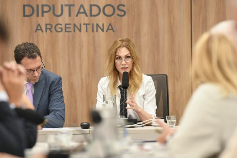 Lilia Lemoine destaca el fortalecimiento de la diplomacia argentina bajo Javier Milei