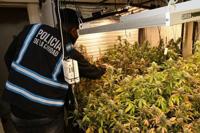 Allanamiento en Parque Chacabuco: secuestran armas y un invernadero de marihuana