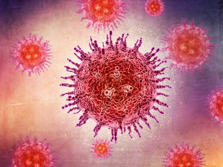 Confirman el primer caso humano de infección por el virus Shamonda en Francia