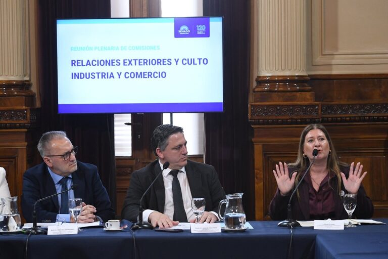 El Senado avanza en la ratificación del Tratado de Patentes con reservas para cuidar la industria local