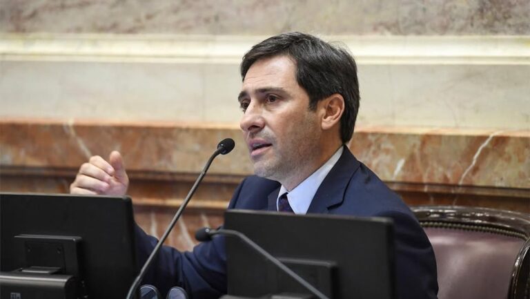 Goerling critica a Milei por intervenciones en el exterior y defiende las PASO