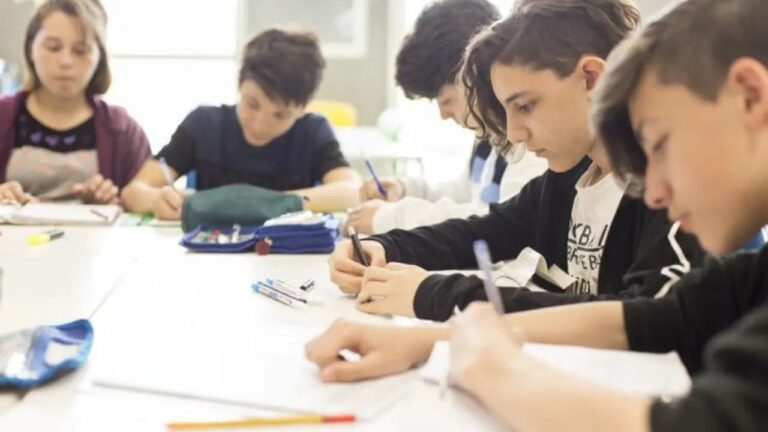 Preocupante: solo el 19% de los estudiantes argentinos de 15 años alcanza conocimientos básicos