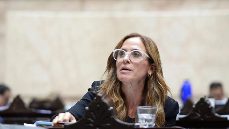 Victoria Tolosa Paz: Se corrige el dictamen sobre Discapacidad para incluir derechos fundamentales